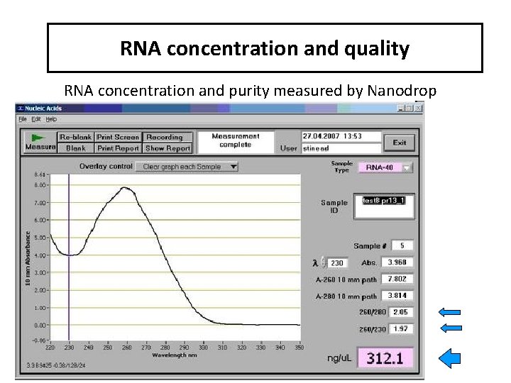 RNA concentration and quality RNA concentration and purity measured by Nanodrop 