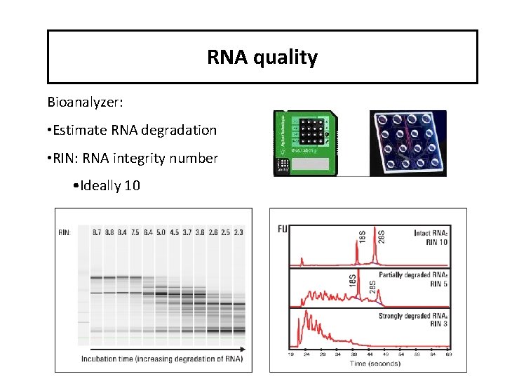 RNA quality Bioanalyzer: • Estimate RNA degradation • RIN: RNA integrity number • Ideally