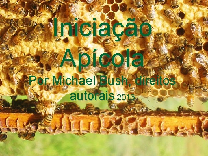Iniciação Apícola Por Michael Bush, direitos autorais 2013 