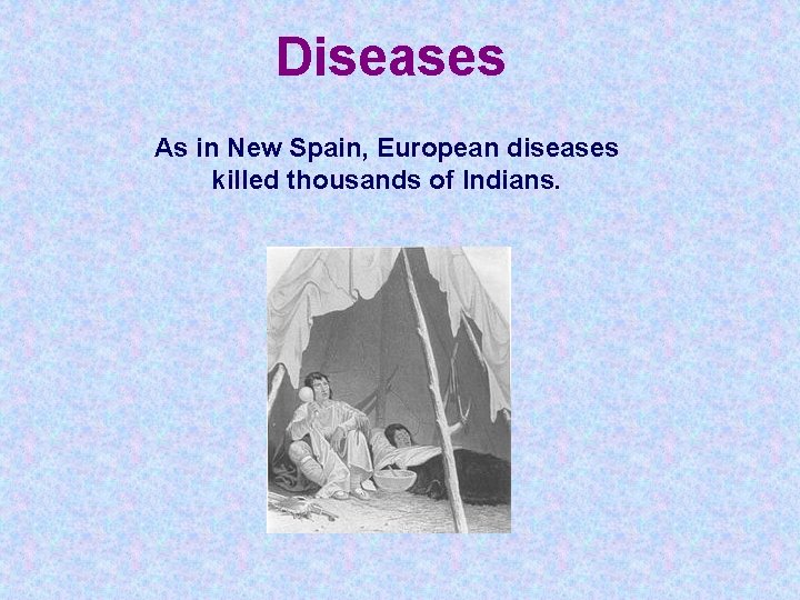 Diseases As in New Spain, European diseases killed thousands of Indians. Diseases As in New Spain, European diseases killed thousands of Indians.