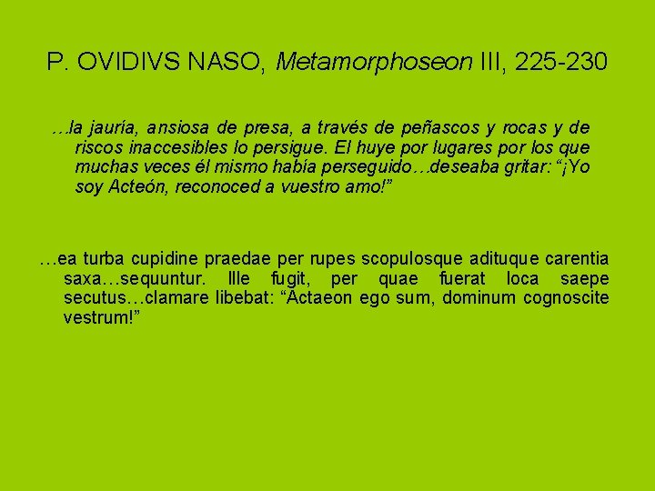P. OVIDIVS NASO, Metamorphoseon III, 225 -230 …la jauría, ansiosa de presa, a través