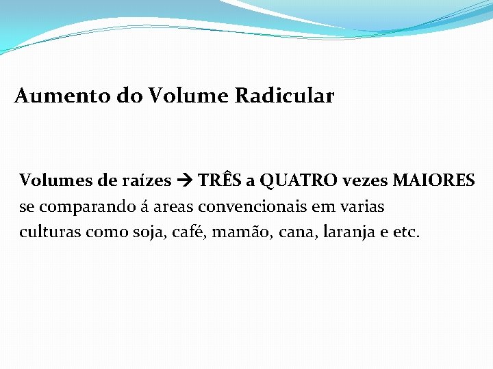 Aumento do Volume Radicular Volumes de raízes TRÊS a QUATRO vezes MAIORES se comparando