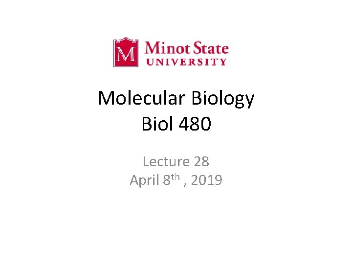 Molecular Biology Biol 480 Lecture 28 April 8 th , 2019 