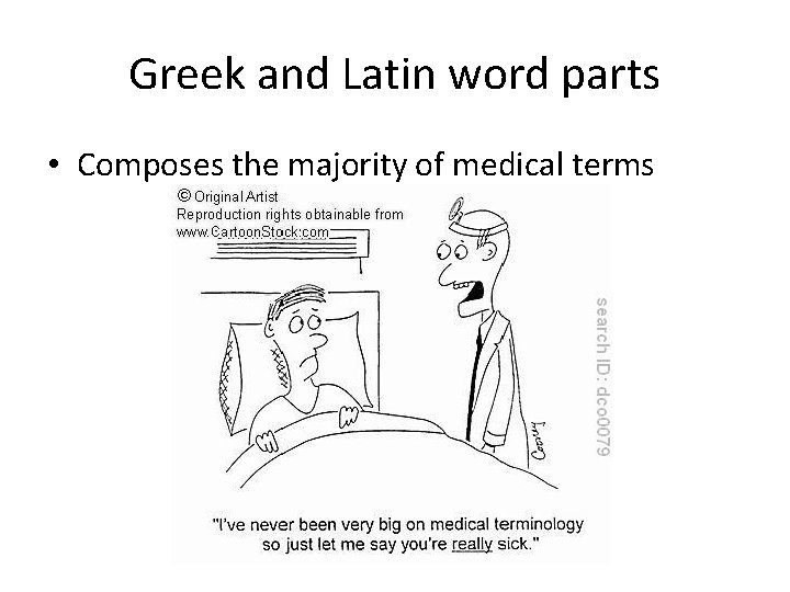 Greek and Latin word parts • Composes the majority of medical terms 