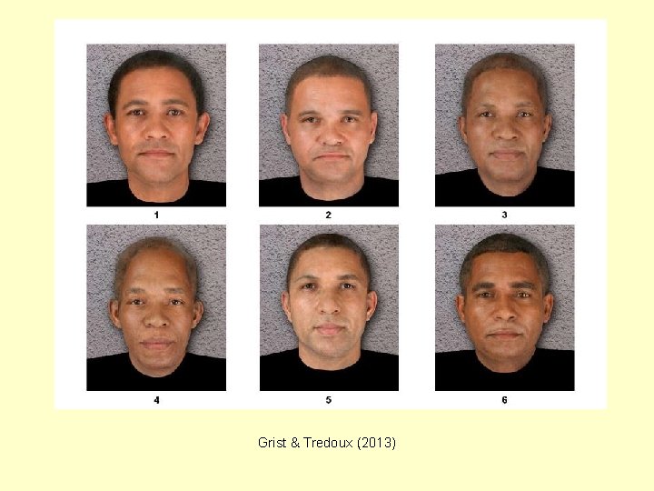 Grist & Tredoux (2013) Grist & Tredoux (2013)