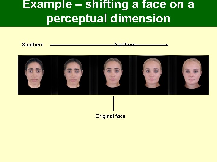 Example – shifting a face on a perceptual dimension Southern Northern Original face Example – shifting a face on a perceptual dimension Southern Northern Original face