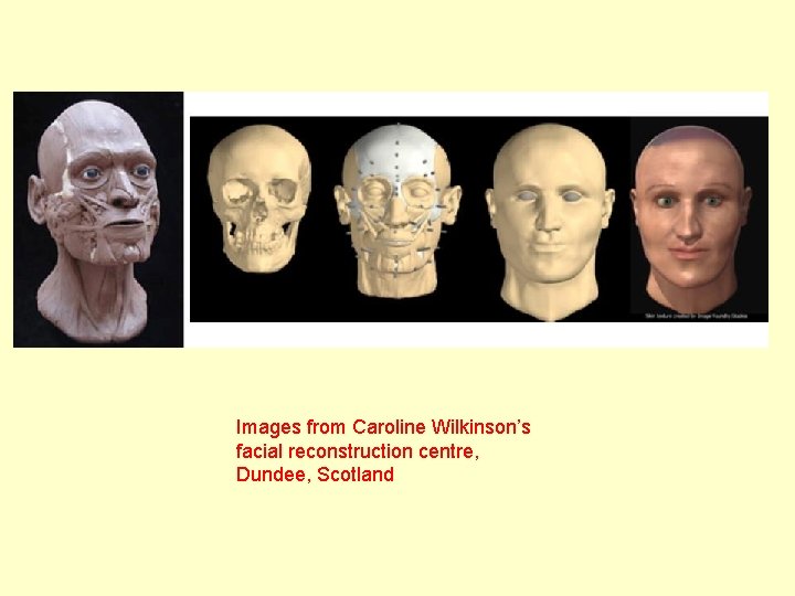 Images from Caroline Wilkinson’s facial reconstruction centre, Dundee, Scotland Images from Caroline Wilkinson’s facial reconstruction centre, Dundee, Scotland
