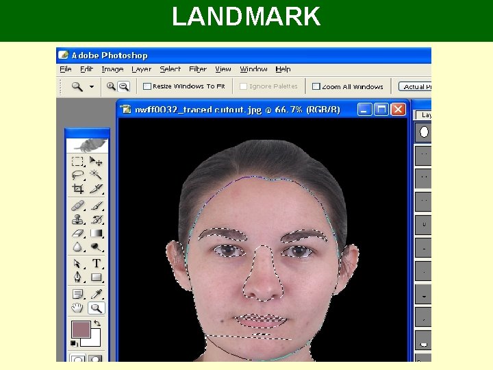 LANDMARK LANDMARK