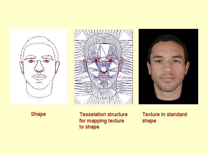Shape Tesselation structure for mapping texture to shape Texture in standard shape Shape Tesselation structure for mapping texture to shape Texture in standard shape