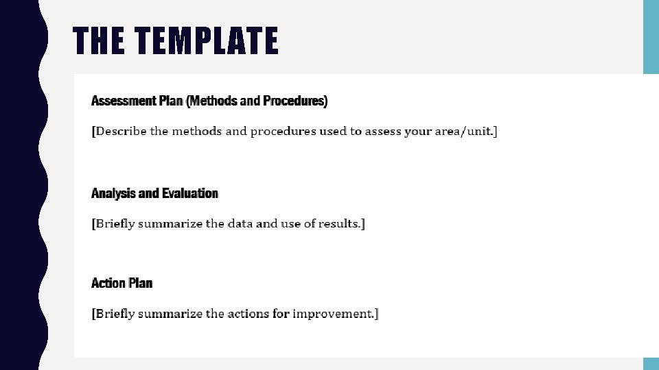 THE TEMPLATE 