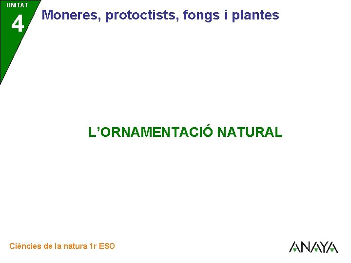 UNITAT 4 Moneres, protoctists, fongs i plantes L’ORNAMENTACIÓ NATURAL Ciències de la natura 1