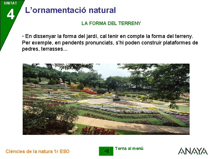 UNITAT UNIDAD 4 3 L’ornamentació natural LA FORMA DEL TERRENY • En dissenyar la