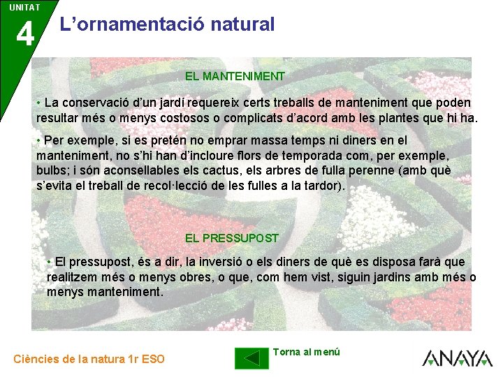 UNITAT UNIDAD 4 3 L’ornamentació natural EL MANTENIMENT • La conservació d’un jardí requereix