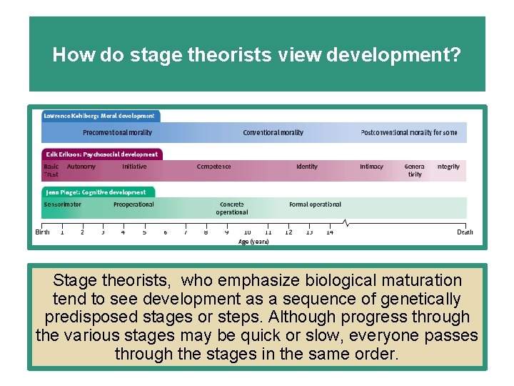 How do stage theorists view development? Stage theorists, who emphasize biological maturation tend to