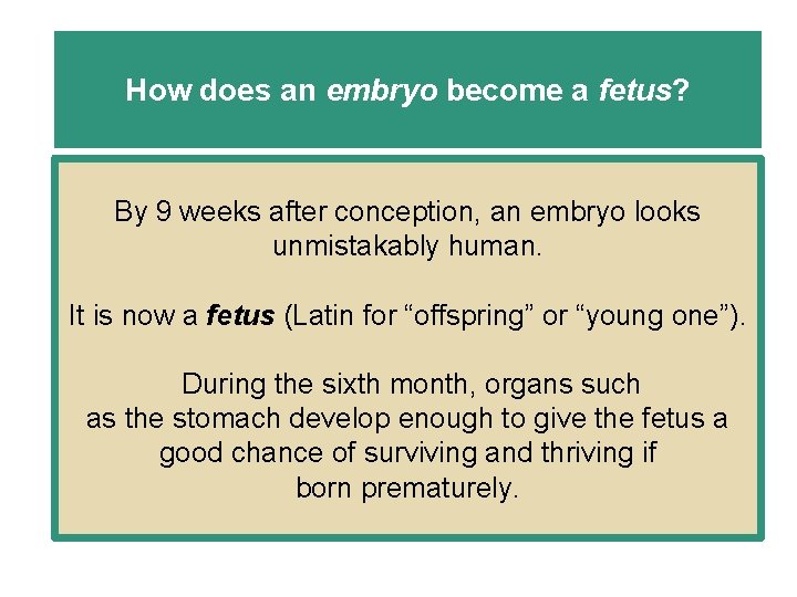 How does an embryo become a fetus? By 9 weeks after conception, an embryo