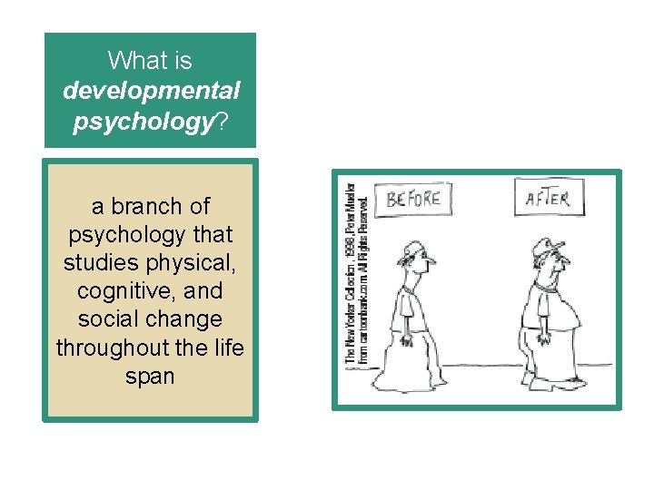 What is developmental psychology? a branch of psychology that studies physical, cognitive, and social