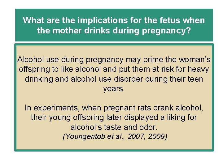 What are the implications for the fetus when the mother drinks during pregnancy? Alcohol