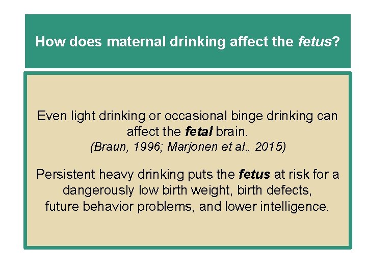 How does maternal drinking affect the fetus? Even light drinking or occasional binge drinking