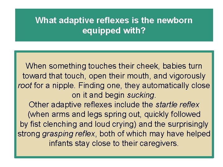 What adaptive reflexes is the newborn equipped with? When something touches their cheek, babies