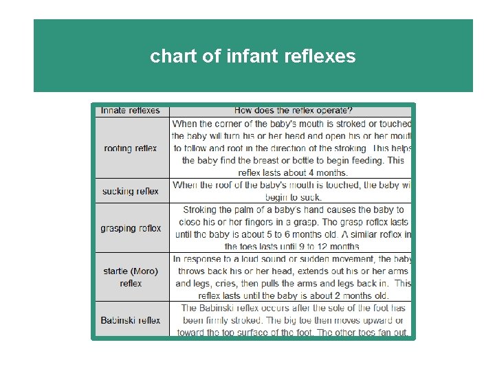 chart of infant reflexes 