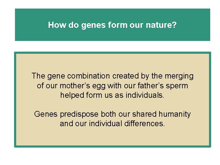 How do genes form our nature? The gene combination created by the merging of