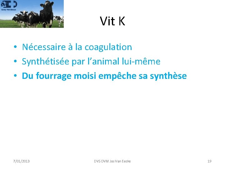 Vit K • Nécessaire à la coagulation • Synthétisée par l’animal lui-même • Du