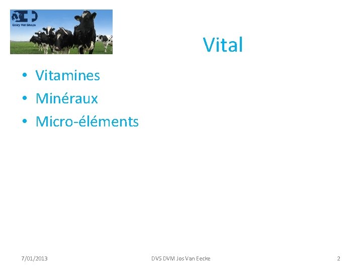Vital • Vitamines • Minéraux • Micro-éléments 7/01/2013 DVS DVM Jos Van Eecke 2