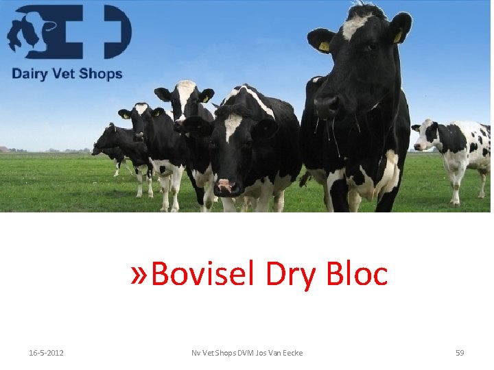 » Bovisel Dry Bloc 5 -3 -2021 16 -5 -2012 Nv Vet Shops DVM