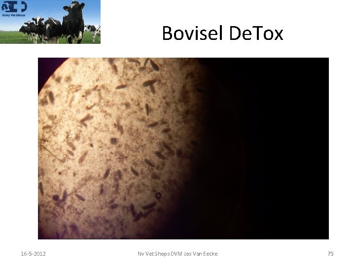 Bovisel De. Tox 5 -3 -2021 16 -5 -2012 Nv Vet Shops DVM Jos