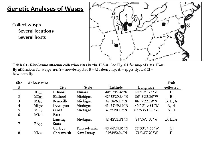 Genetic Analyses of Wasps Collect wasps Several locations Several hosts 