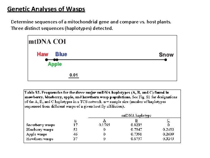Genetic Analyses of Wasps Determine sequences of a mitochondrial gene and compare vs. host