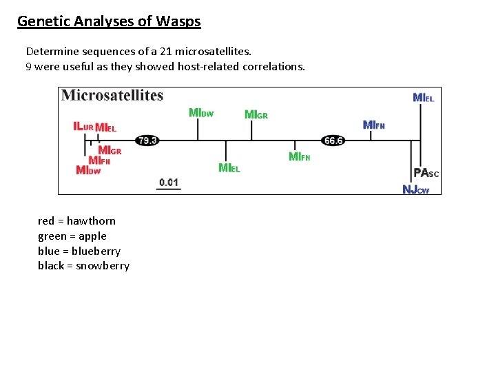 Genetic Analyses of Wasps Determine sequences of a 21 microsatellites. 9 were useful as