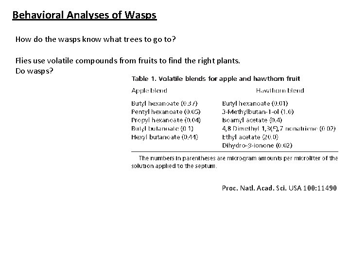 Behavioral Analyses of Wasps How do the wasps know what trees to go to?