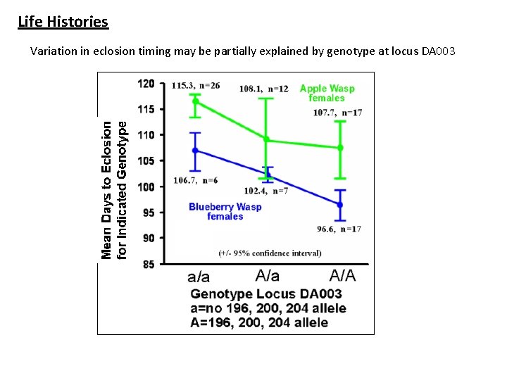 Life Histories Variation in eclosion timing may be partially explained by genotype at locus