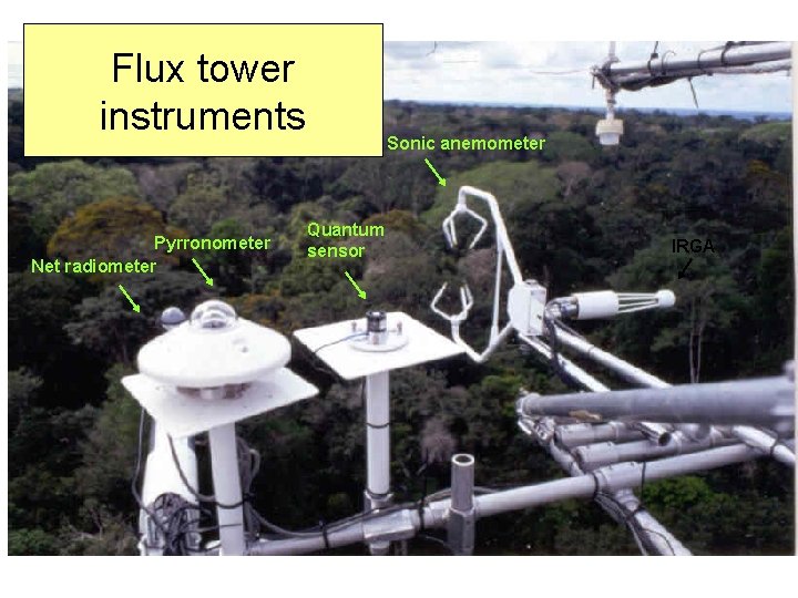Flux tower instruments Pyrronometer Net radiometer 3 -D Sonic anemometer Quantum sensor IRGA 