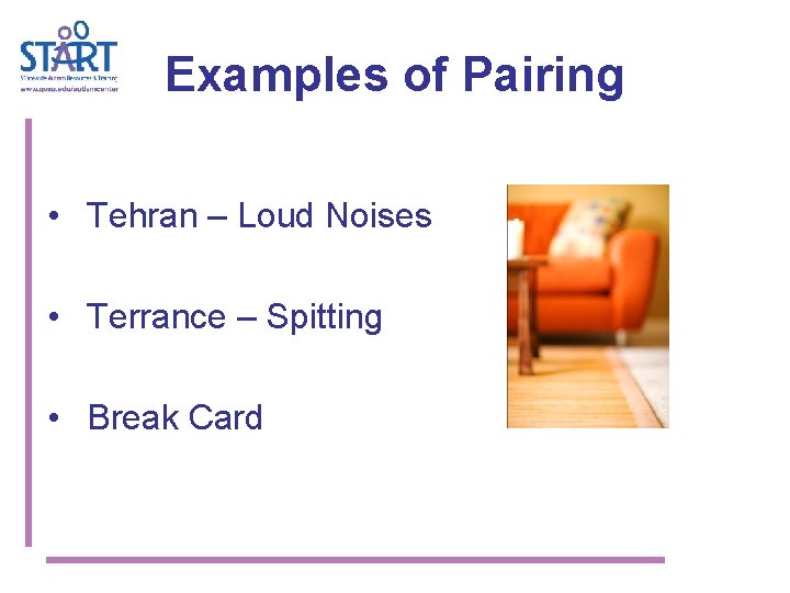 Examples of Pairing • Tehran – Loud Noises • Terrance – Spitting • Break