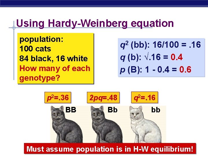 Using Hardy-Weinberg equation population: 100 cats 84 black, 16 white How many of each