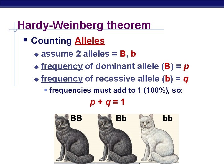 Hardy-Weinberg theorem § Counting Alleles assume 2 alleles = B, b u frequency of