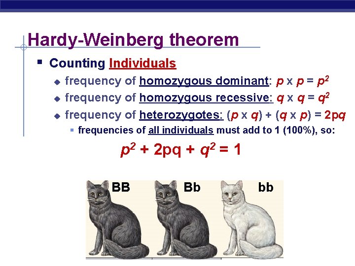 Hardy-Weinberg theorem § Counting Individuals u u u frequency of homozygous dominant: p x