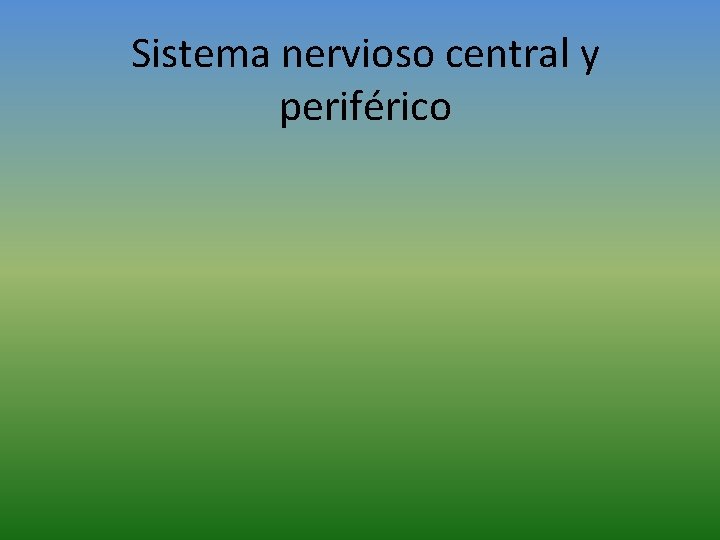 Sistema nervioso central y periférico 