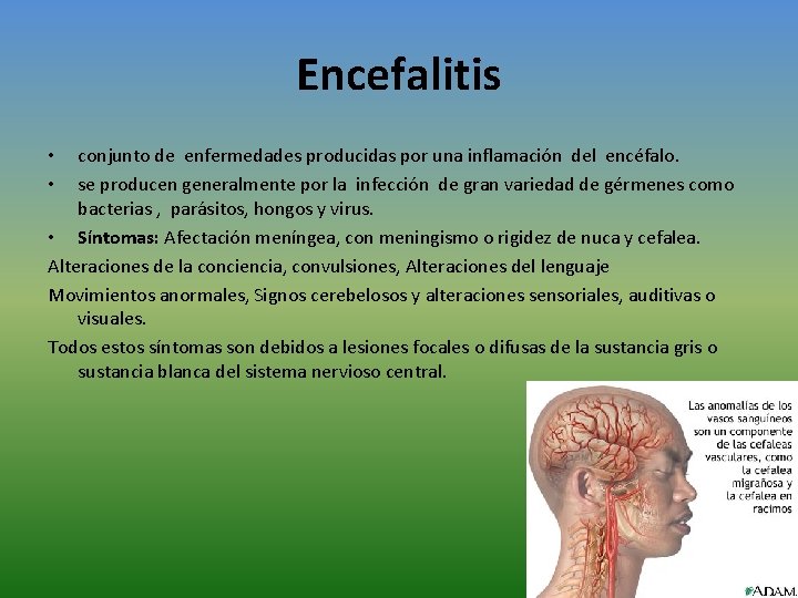 Encefalitis conjunto de enfermedades producidas por una inflamación del encéfalo. se producen generalmente por