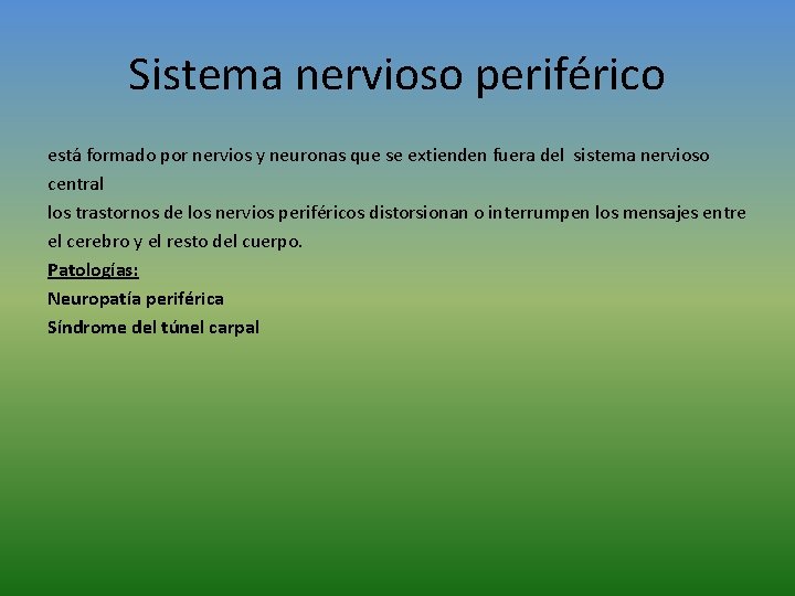 Sistema nervioso periférico está formado por nervios y neuronas que se extienden fuera del