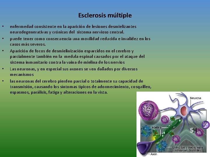 Esclerosis múltiple • • • enfermedad consistente en la aparición de lesiones desmielizantes neurodegenerativas