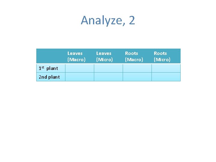 Analyze, 2 Leaves (Macro) 1 st plant 2 nd plant Leaves (Micro) Roots (Macro)