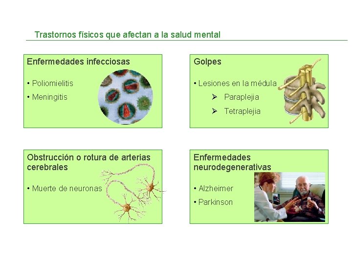 Trastornos físicos que afectan a la salud mental Enfermedades infecciosas Golpes • Poliomielitis •