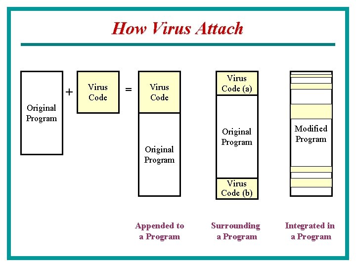 How Virus Attach + Virus Code = Virus Code (a) Original Program Modified Program