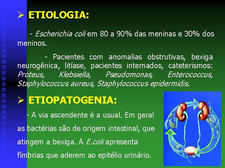 Ø ETIOLOGIA: - Escherichia coli em 80 a 90% das meninas e 30% dos