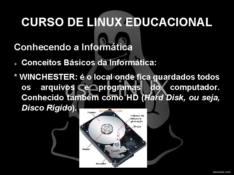 CURSO DE LINUX EDUCACIONAL Conhecendo a Informática Conceitos Básicos da Informática: * WINCHESTER: é