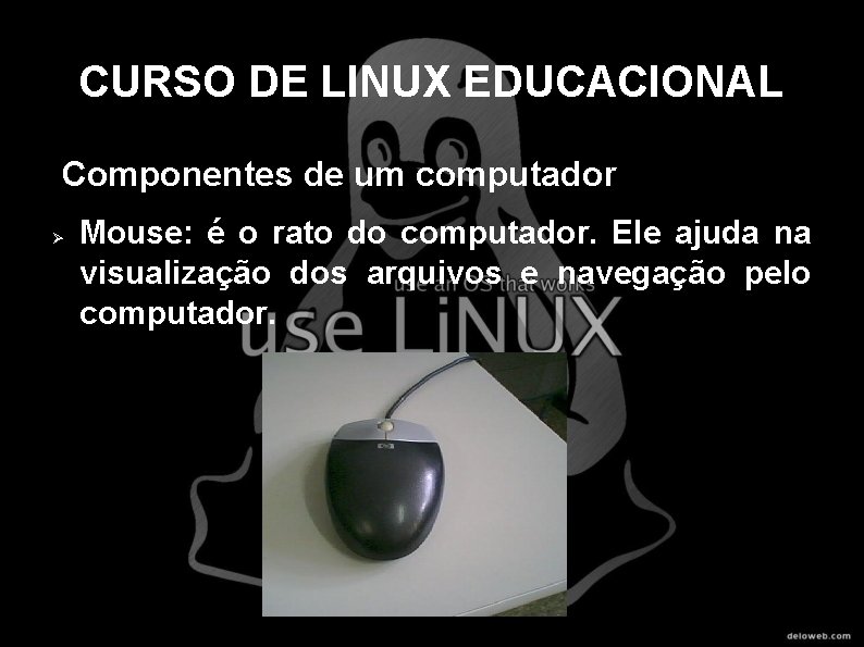 CURSO DE LINUX EDUCACIONAL Componentes de um computador Mouse: é o rato do computador.