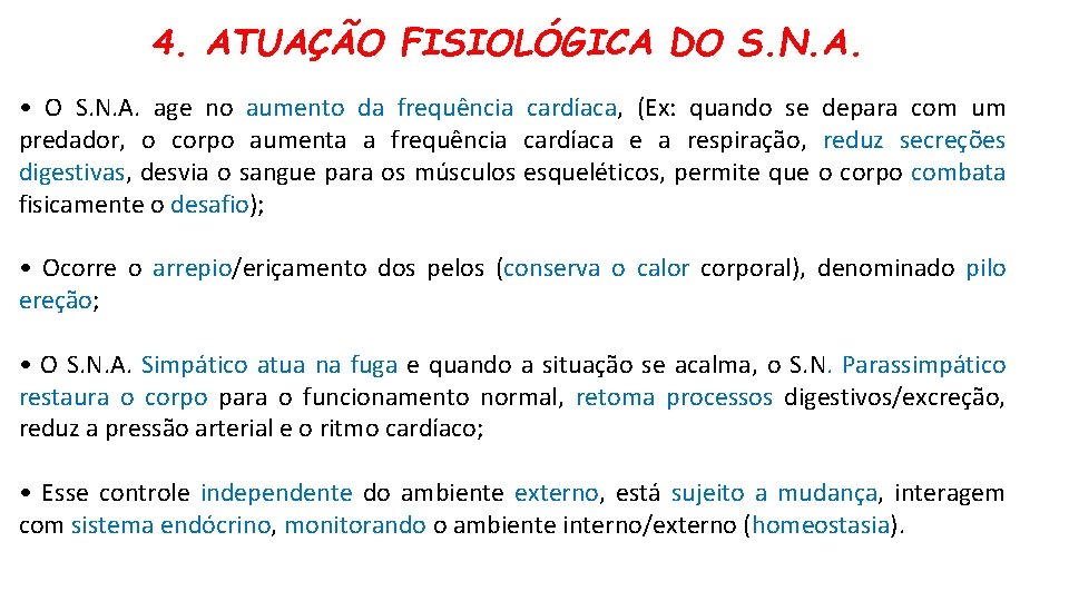4. ATUAÇÃO FISIOLÓGICA DO S. N. A. • O S. N. A. age no 4. ATUAÇÃO FISIOLÓGICA DO S. N. A. • O S. N. A. age no